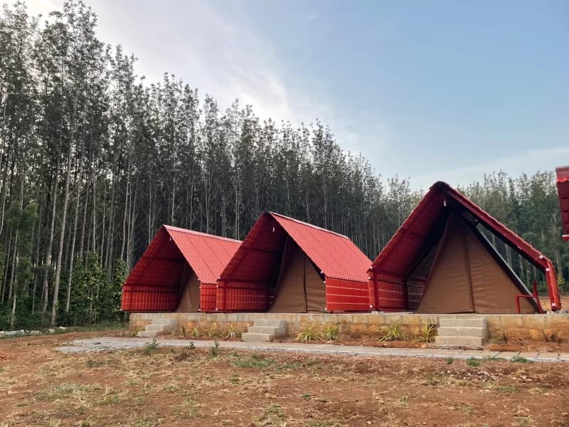 A-frame accommodation beside tall trees at Trippr Chikkamagaluru